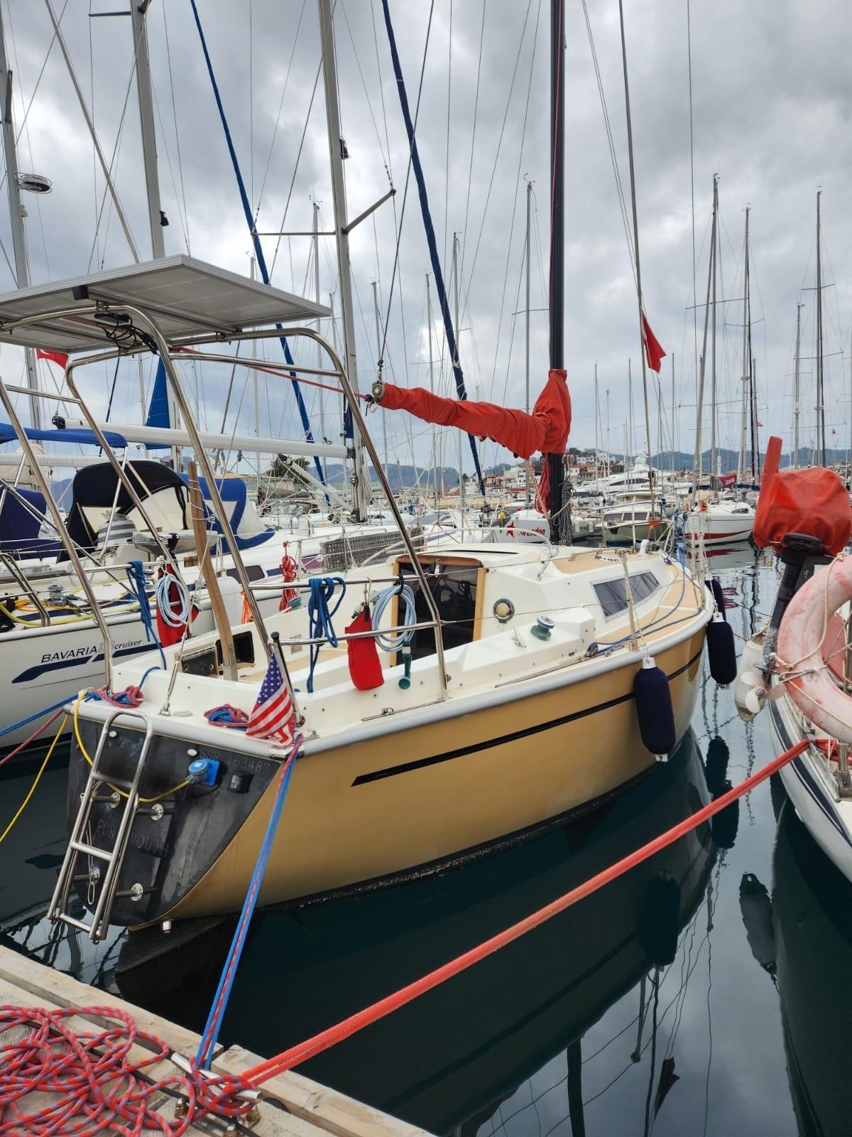 SA1228 Cobra Yachts 850